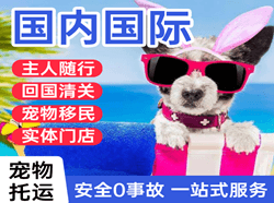 合肥航空快运国际宠物托运 【国